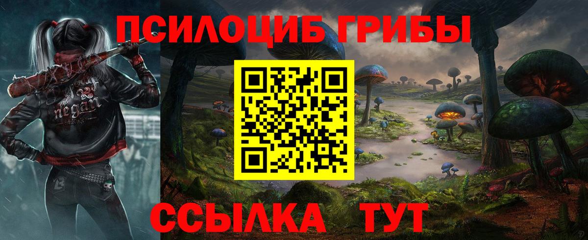 Галлюциногенные грибы Psilocybine cubensis Избербаш